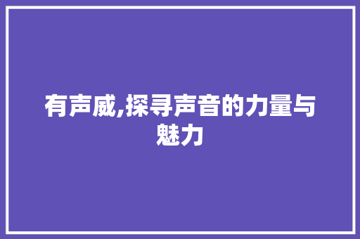 有声威,探寻声音的力量与魅力