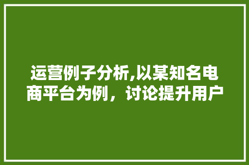 运营例子分析,以某知名电商平台为例，讨论提升用户体验的路径 国学经典