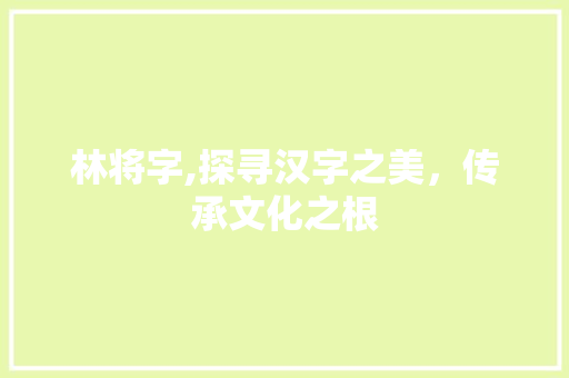 林将字,探寻汉字之美，传承文化之根