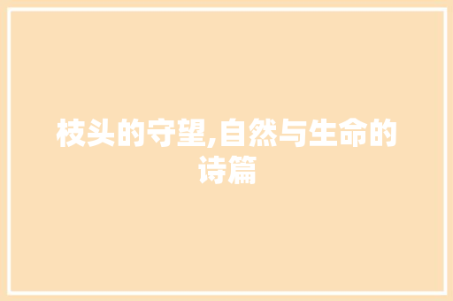 枝头的守望,自然与生命的诗篇