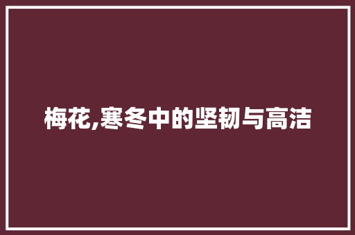 梅花,寒冬中的坚韧与高洁