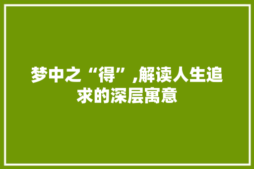 梦中之“得”,解读人生追求的深层寓意