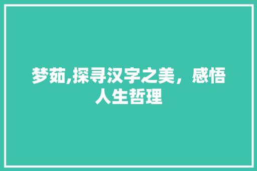 梦茹,探寻汉字之美，感悟人生哲理