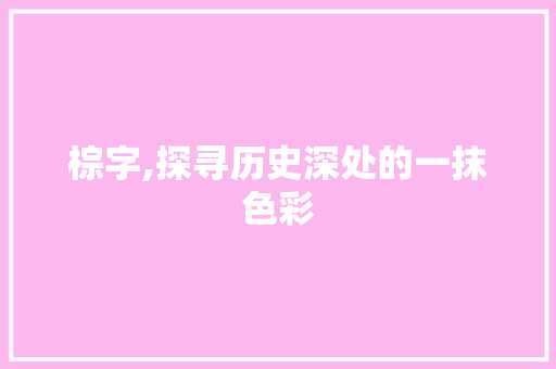 棕字,探寻历史深处的一抹色彩