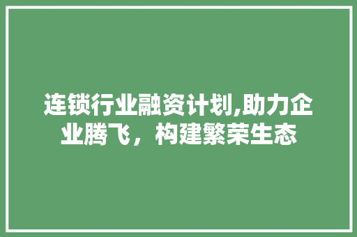 连锁行业融资计划,助力企业腾飞，构建繁荣生态