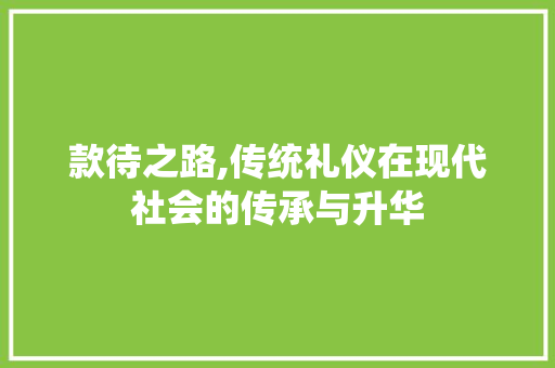 款待之路,传统礼仪在现代社会的传承与升华