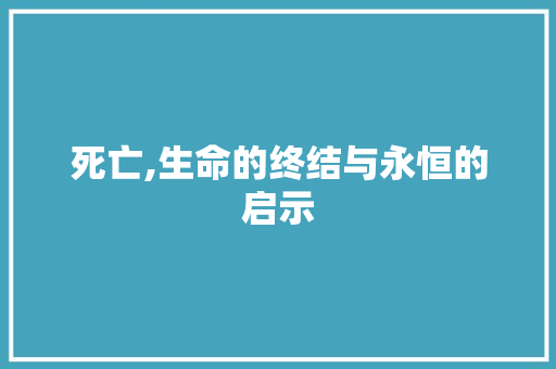 死亡,生命的终结与永恒的启示 工作总结