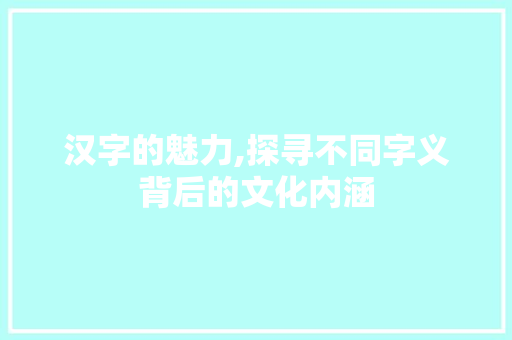 汉字的魅力,探寻不同字义背后的文化内涵