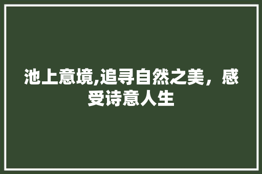 池上意境,追寻自然之美，感受诗意人生 国学经典