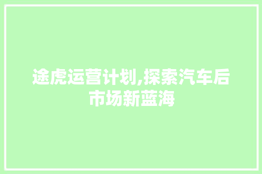 途虎运营计划,探索汽车后市场新蓝海 演讲稿