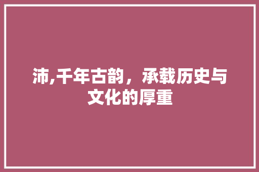 沛,千年古韵，承载历史与文化的厚重 工作计划