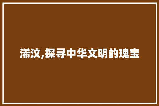 浠汶,探寻中华文明的瑰宝