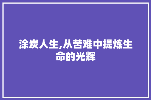 涂炭人生,从苦难中提炼生命的光辉 合同范本