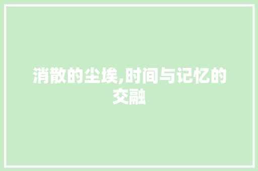 消散的尘埃,时间与记忆的交融