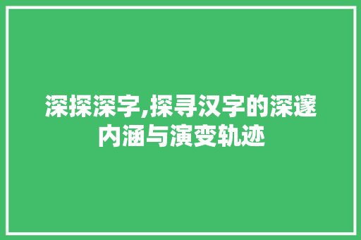 深探深字,探寻汉字的深邃内涵与演变轨迹