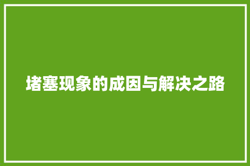 堵塞现象的成因与解决之路