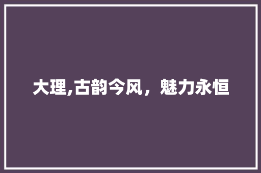 大理,古韵今风，魅力永恒 个人简历