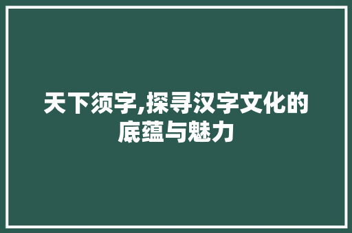 天下须字,探寻汉字文化的底蕴与魅力