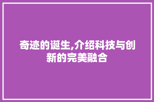 奇迹的诞生,介绍科技与创新的完美融合
