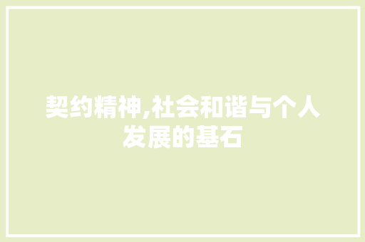 契约精神,社会和谐与个人发展的基石