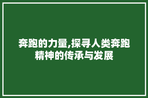 奔跑的力量,探寻人类奔跑精神的传承与发展