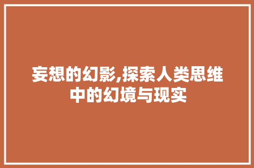 妄想的幻影,探索人类思维中的幻境与现实