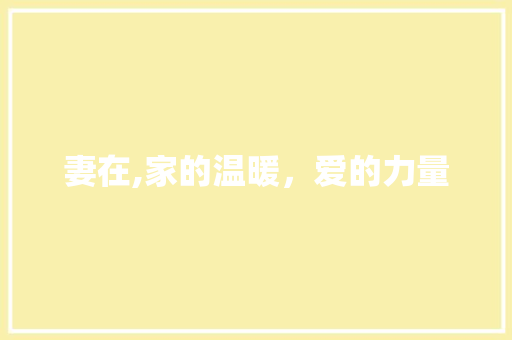 妻在,家的温暖，爱的力量