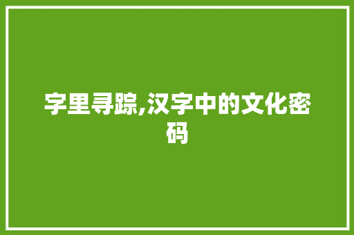 字里寻踪,汉字中的文化密码