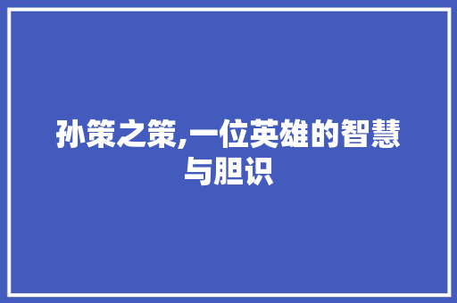 孙策之策,一位英雄的智慧与胆识