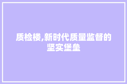 质检楼,新时代质量监督的坚实堡垒
