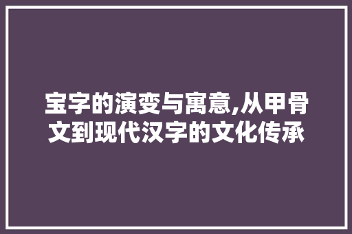 宝字的演变与寓意,从甲骨文到现代汉字的文化传承
