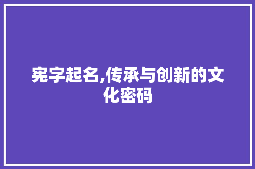 宪字起名,传承与创新的文化密码