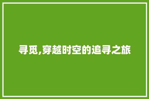 寻觅,穿越时空的追寻之旅 成语大全