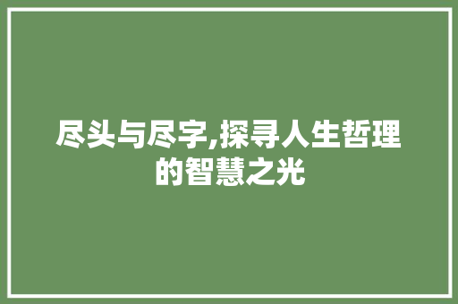 尽头与尽字,探寻人生哲理的智慧之光