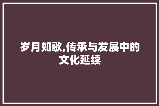 岁月如歌,传承与发展中的文化延续