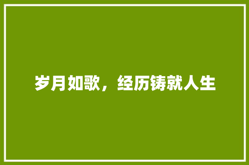 岁月如歌，经历铸就人生