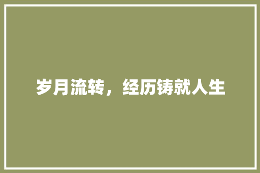 岁月流转，经历铸就人生
