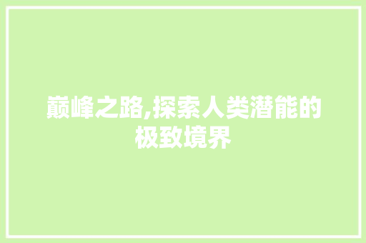 巅峰之路,探索人类潜能的极致境界