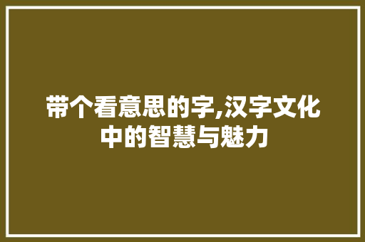 带个看意思的字,汉字文化中的智慧与魅力