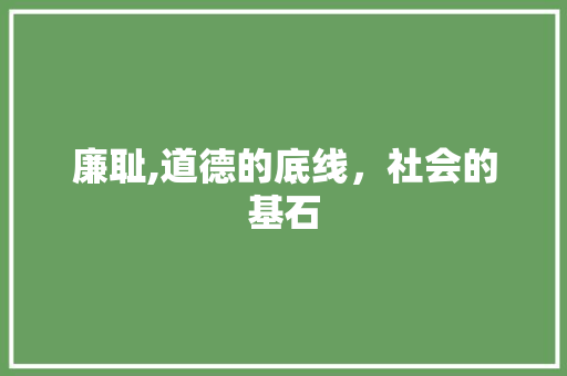 廉耻,道德的底线，社会的基石
