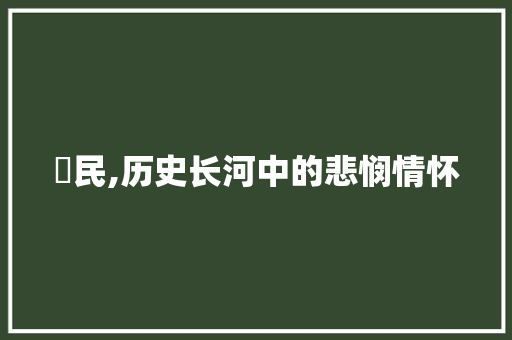 弔民,历史长河中的悲悯情怀