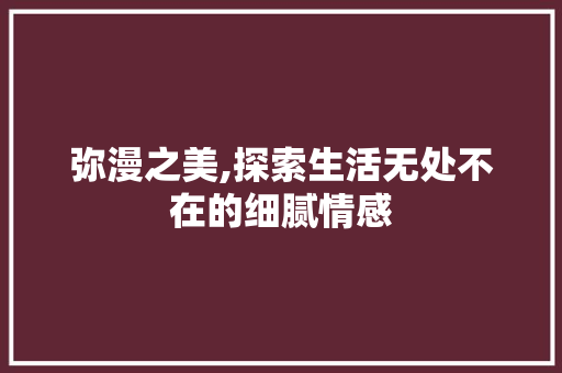 弥漫之美,探索生活无处不在的细腻情感