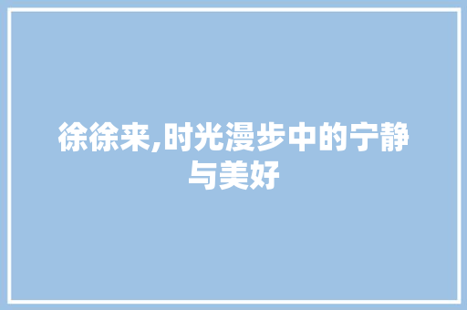 徐徐来,时光漫步中的宁静与美好 工作计划