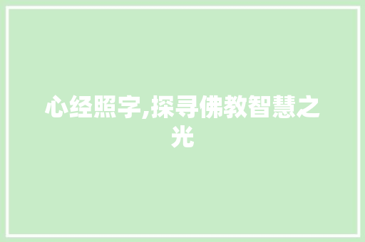 心经照字,探寻佛教智慧之光