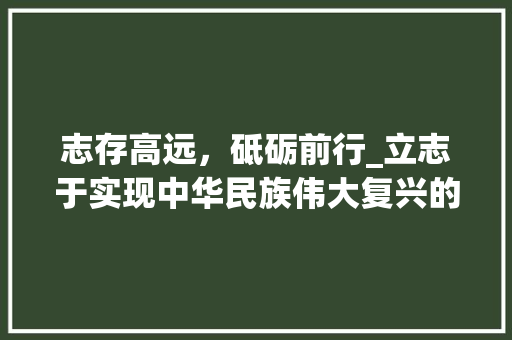 志存高远，砥砺前行_立志于实现中华民族伟大复兴的征程