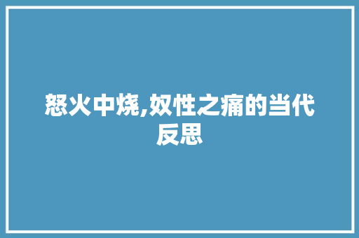 怒火中烧,奴性之痛的当代反思 个人简历