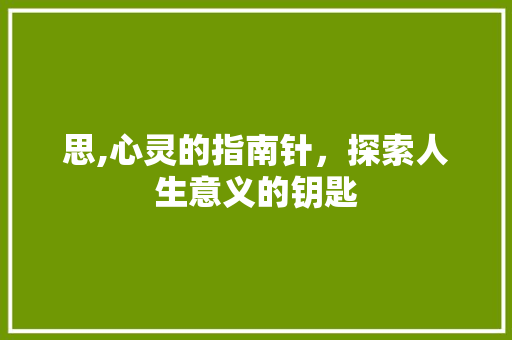 思,心灵的指南针，探索人生意义的钥匙