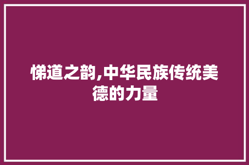 悌道之韵,中华民族传统美德的力量