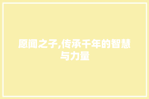 愿闻之子,传承千年的智慧与力量