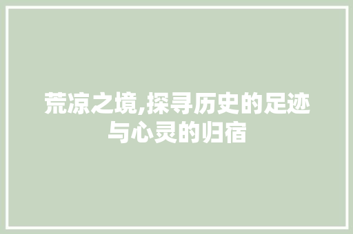 荒凉之境,探寻历史的足迹与心灵的归宿 国学经典